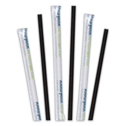 Hoffmaster® Aardvark Paper Straws, 5.75", Black, 3,200/Carton