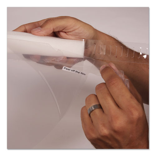 Image of Disposable Face Shield, 13 x 10, Clear, 100/Carton