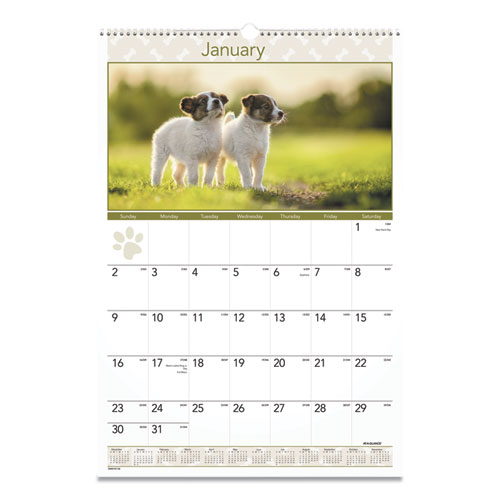 Puppies Monthly Wall Calendar, Puppies Photography, 15.5 x 22.75, White/Multicolor Sheets, 12-Month (Jan to Dec): 2022
