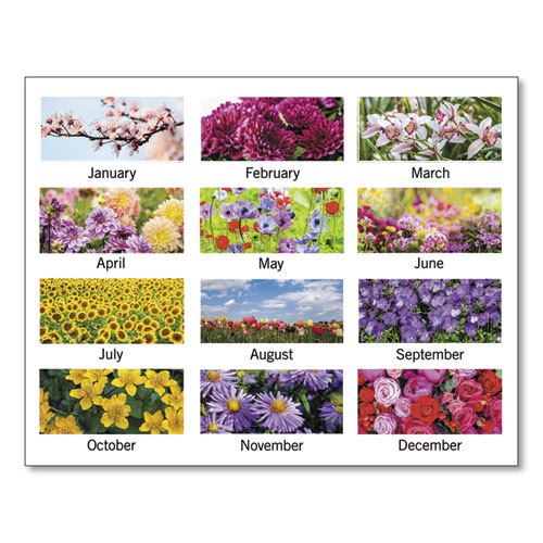 Image of Floral Panoramic Desk Pad, Floral Photography, 22 x 17, White/Multicolor Sheets, Clear Corners, 12-Month (Jan-Dec): 2023