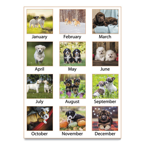 Image of Puppies Monthly Wall Calendar, Puppies Photography, 15.5 x 22.75, White/Multicolor Sheets, 12-Month (Jan to Dec): 2023