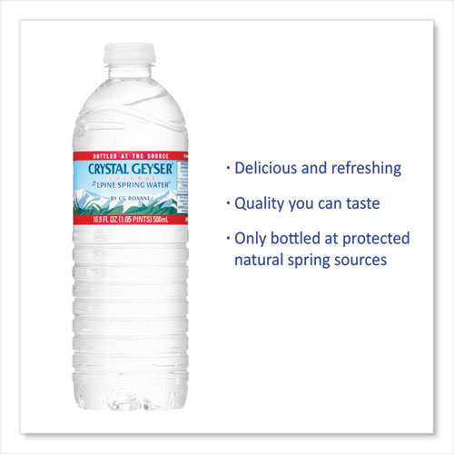 Image of Alpine Spring Water, 16.9 oz Bottle, 24/Case