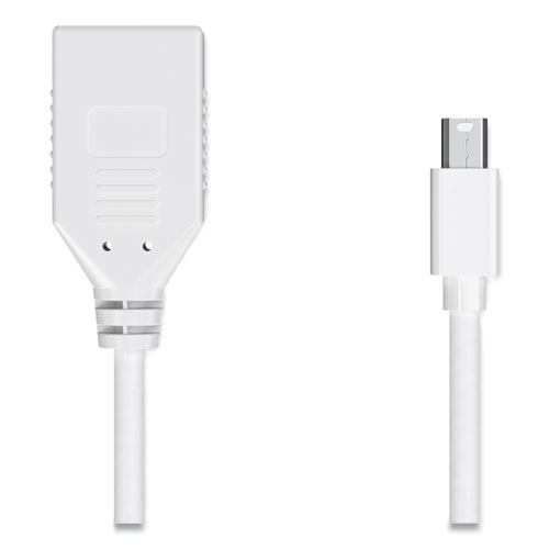 Mini DisplayPort to DisplayPort Adapter, 6", White