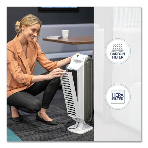AeraMax DX5 Small Room Air Purifier, 200 sq ft Room Capacity, White
