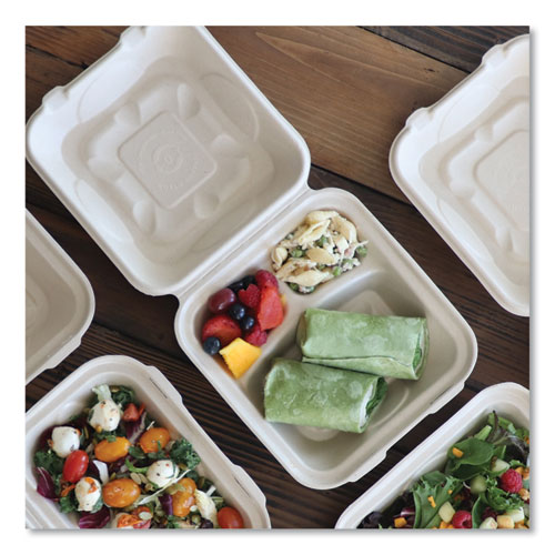 Image of World Centric® Fiber Hinged Containers, 3-Compartments, 9 X 9 X 3, Natural, Paper, 300/Carton