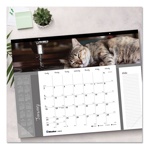 Image of Blueline® Pets Collection Monthly Desk Pad, Furry Kittens Photography, 22 X 17, White Sheets, Black Binding, 12-Month (Jan-Dec): 2024