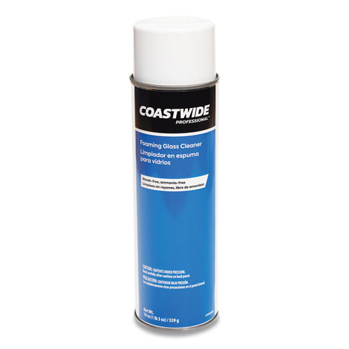 Coastwide Professional™ Foaming Glass Cleaner, Fresh and Clean, 19 oz ...