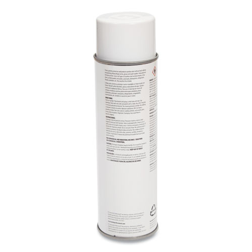 Stainless Steel Cleaner and Maintainer, Fresh and Clean, 16 oz Aerosol Spray, 6/Carton
