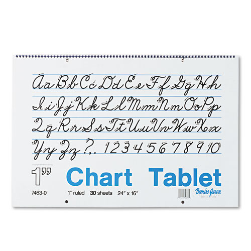 Chart Tablets, 1" Presentation Rule, 24 x 16, 30 Sheets | by Plexsupply