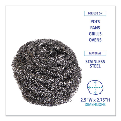 Stainless Steel Scrubber, Large Size, 2.5 x 2.75, Steel Gray, 12/Carton