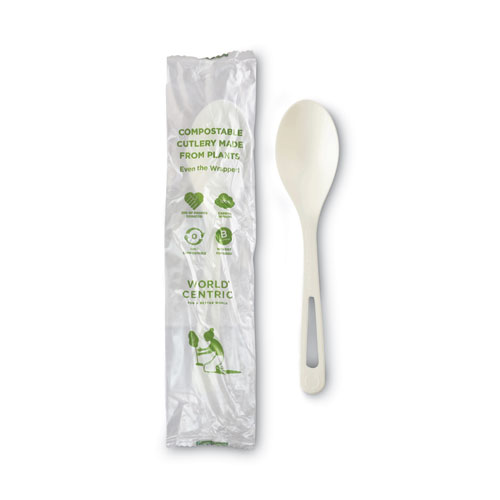 TPLA Compostable Cutlery, Spoon, 6", White, 750/Carton