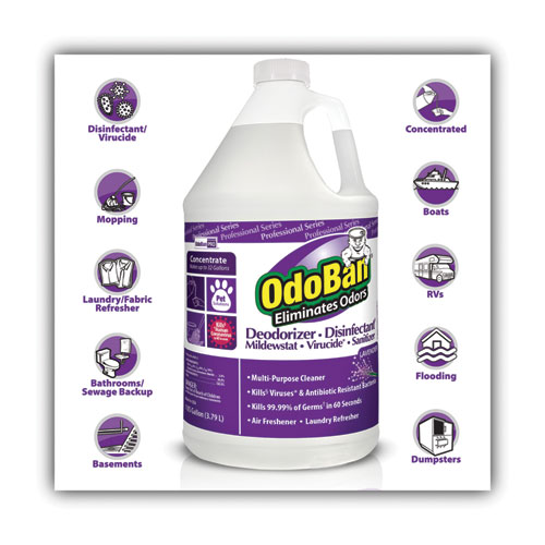 Concentrate Odor Eliminator and Disinfectant, Lavender Scent, 1 gal Bottle, 4/Carton