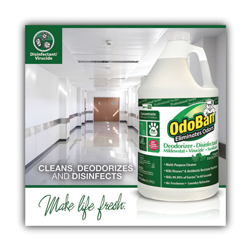 Image of Odoban® Concentrated Odor Eliminator And Disinfectant, Eucalyptus, 1 Gal Bottle