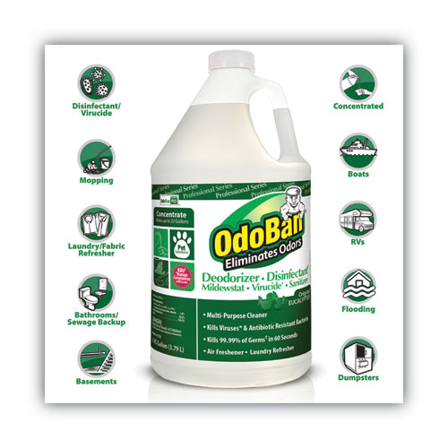 Image of Odoban® Concentrated Odor Eliminator, Eucalyptus, 1 Gal Bottle, 4/Carton