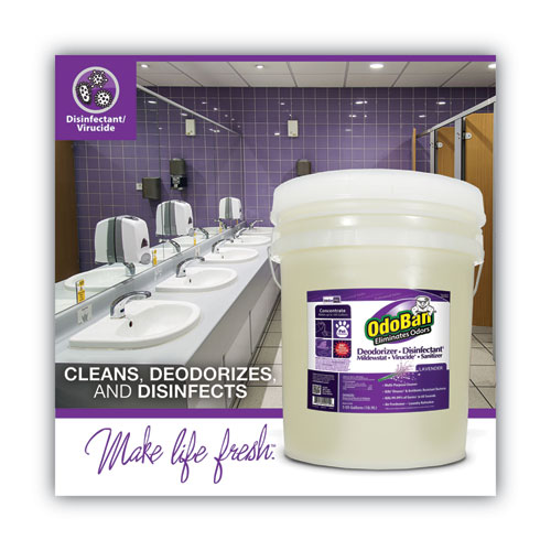 Image of Odoban® Concentrated Odor Eliminator And Disinfectant, Lavender Scent, 5 Gal Pail