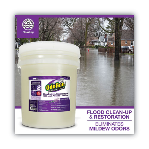 Image of Odoban® Concentrated Odor Eliminator And Disinfectant, Lavender Scent, 5 Gal Pail