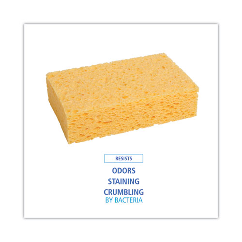 Medium Cellulose Sponge, 3.67 x 6.08, 1.55" Thick, Yellow, 24/Carton