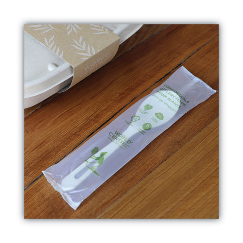Image of World Centric® Tpla Compostable Cutlery, Spoon, 6", White, 750/Carton