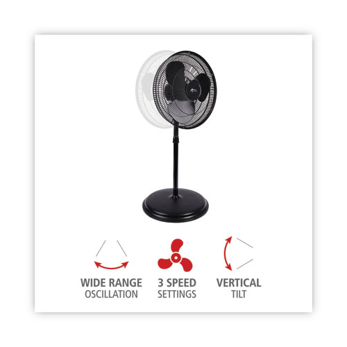 Image of Alera® 16" 3-Speed Oscillating Pedestal Stand Fan, Metal, Plastic, Black