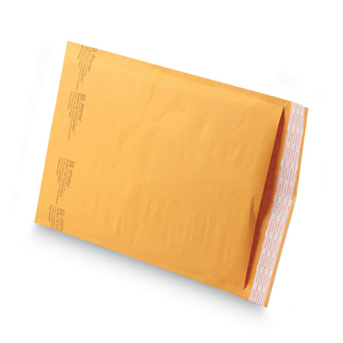 Paper Lining #4 Self-Adhesive Closure 9.5 X 1 Sealed Air Jiffy Padded Mailer