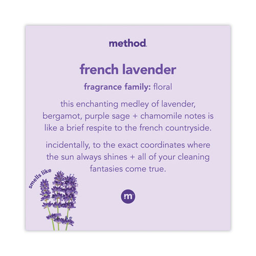 Foaming Hand Wash, French Lavender, 10 oz Pump Bottle, 6/Carton