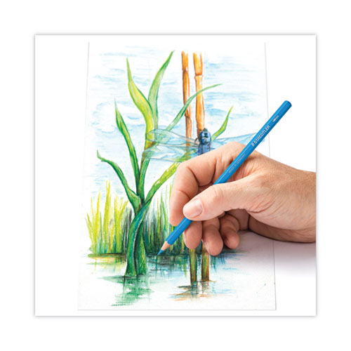 Image of Staedtler® Watercolor Pencils, 2.9 Mm, Hb (#2), Assorted Lead/Barrel Colors, 12/Pack