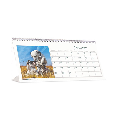 Earthscapes Recycled Desk Tent Monthly Calendar Puppies Photography 8