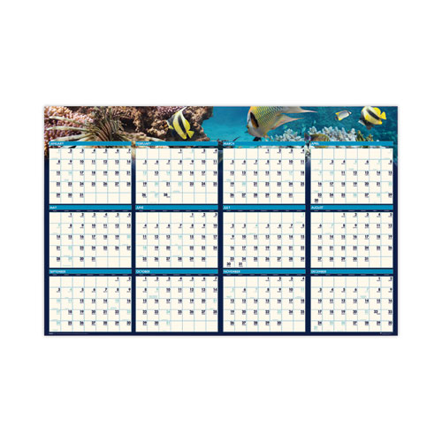 Earthscapes Recycled Reversible/Erasable Yearly Wall Calendar, Sea Life Photos, 24 x 37, White Sheets, 12-Month(Jan-Dec):2024