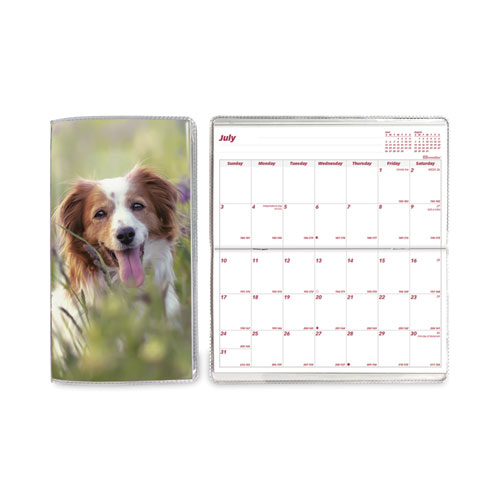 Monthly Pocket Planners, Dog Artwork, 6.5 x 3.5, Multicolor Cover, 18-Month (Jul to Dec): 2022 to 2023
