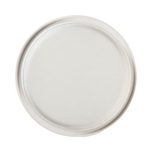 Image of Hefty® Ecosave Tableware, Plate, Bagasse, 10.13" Dia, White, 16/Pack, 12 Packs/Carton