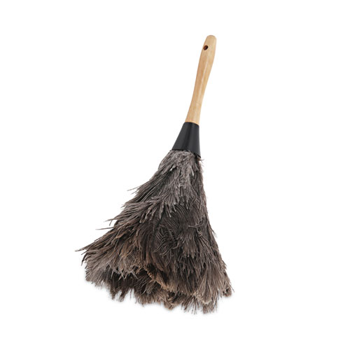 Boardwalk® Professional Ostrich Feather Duster, 4" Handle