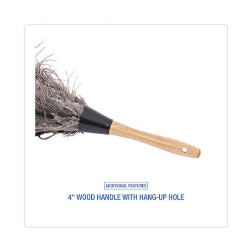 Image of Boardwalk® Professional Ostrich Feather Duster, 4" Handle