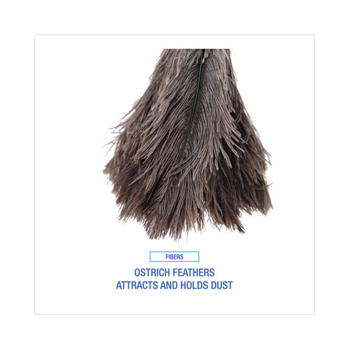Image of Boardwalk® Professional Ostrich Feather Duster, 4" Handle