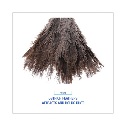 Image of Boardwalk® Professional Ostrich Feather Duster, Gray, 14" Length, 6" Handle