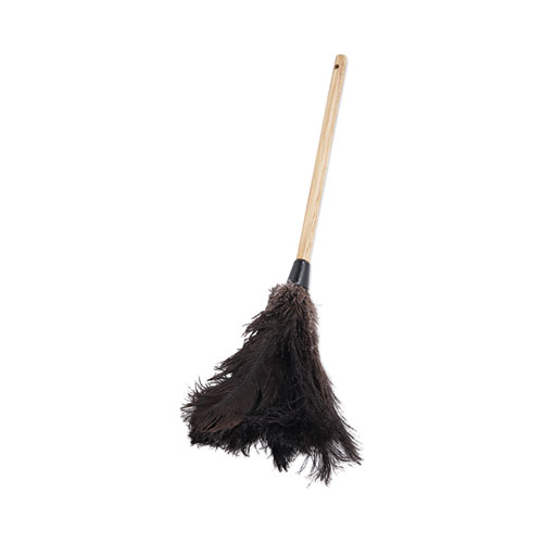 Professional Ostrich Feather Duster, 10" Handle