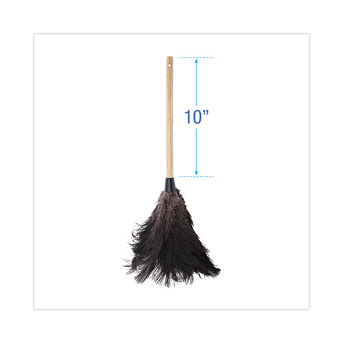 Image of Professional Ostrich Feather Duster, 10" Handle