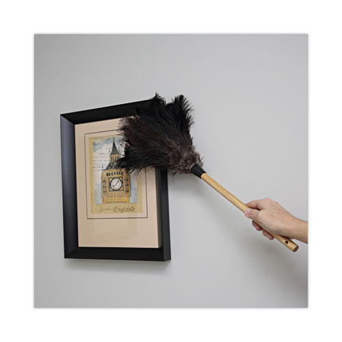 Image of Professional Ostrich Feather Duster, 10" Handle
