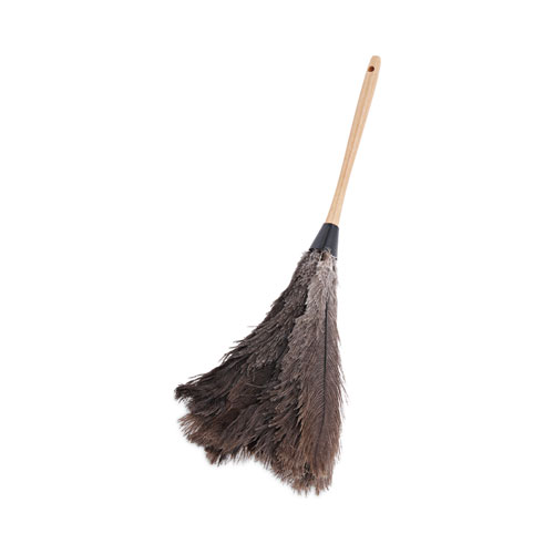 Image of Professional Ostrich Feather Duster, Wood Handle, 20"