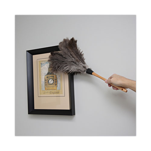 Image of Boardwalk® Professional Ostrich Feather Duster, Wood Handle, 20"
