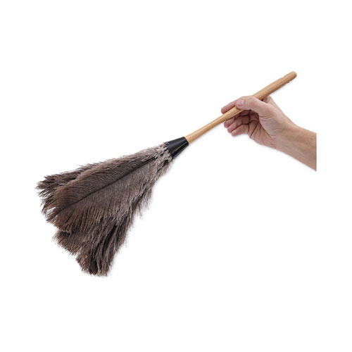 Image of Boardwalk® Professional Ostrich Feather Duster, Wood Handle, 20"