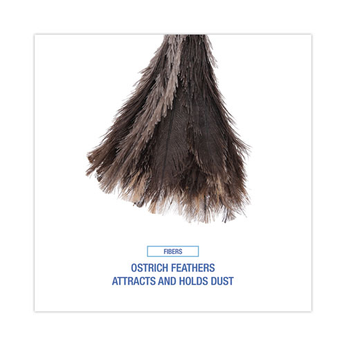 Image of Boardwalk® Professional Ostrich Feather Duster, 13" Handle