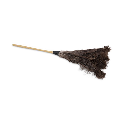 Image of Professional Ostrich Feather Duster, 16" Handle