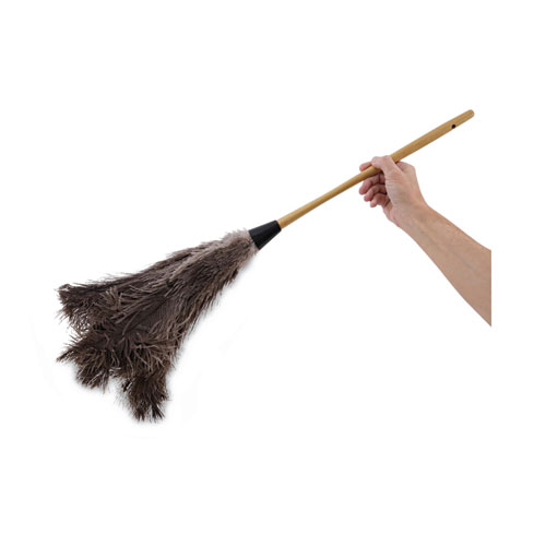 Image of Boardwalk® Professional Ostrich Feather Duster, 16" Handle