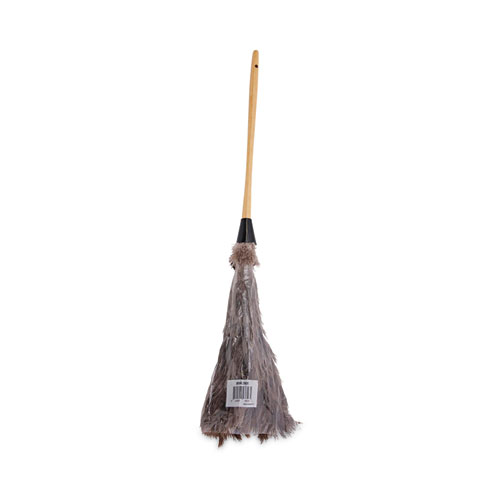 Image of Boardwalk® Professional Ostrich Feather Duster, 16" Handle