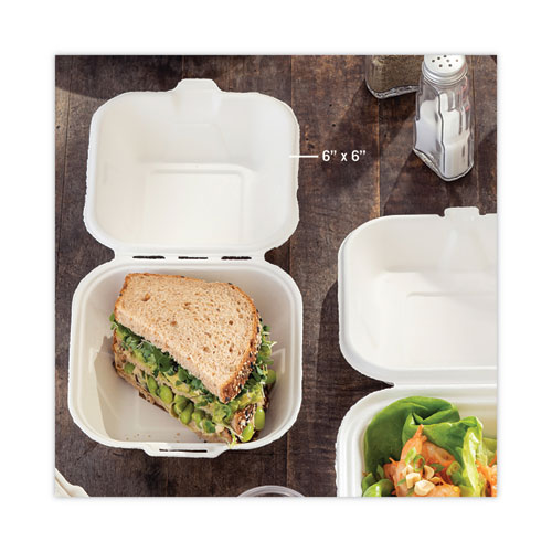 Image of Pactiv Evergreen Earthchoice Bagasse Hinged Lid Container, Single Tab Lock, 6" Sandwich, 5.8 X 5.8 X 3.3, Natural, Sugarcane, 500/Carton