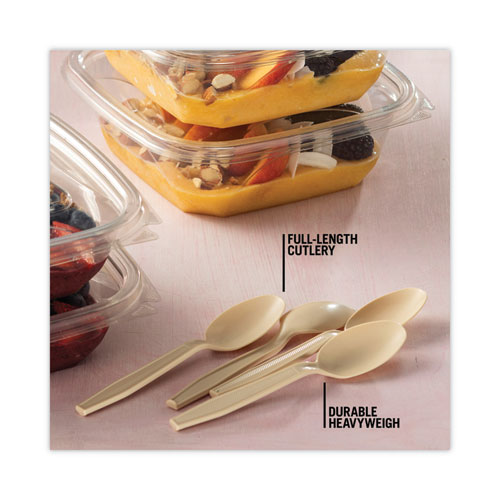 EarthChoice PSM Cutlery, Heavyweight, Spoon, 5.88", Tan, 1,000/Carton