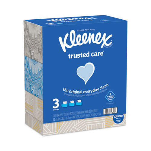 Trusted Care Facial Tissue, 2-Ply, White, 160 Sheets/Box, 3 Boxes/Pack, 12 Packs/Carton