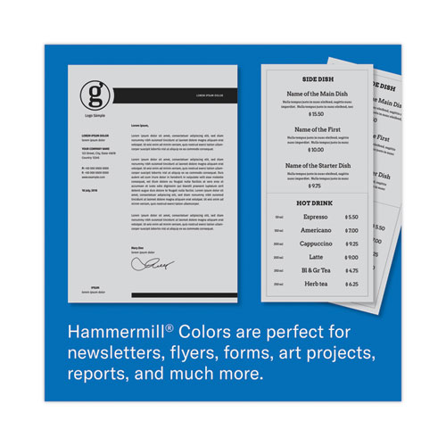 Image of Hammermill® Colors Print Paper, 20 Lb Bond Weight, 8.5 X 11, Gray, 500 Sheets/Ream, 10 Reams/Carton