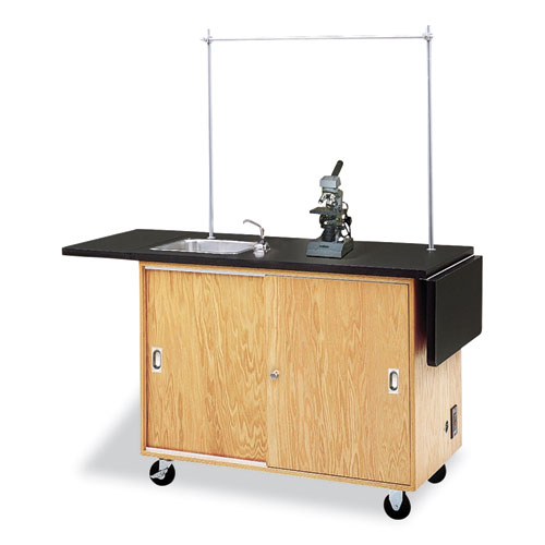 Mobile Laboratory Table, Rectangular, 48w x 24d x 36h, Black
