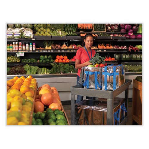 Image of Packit® Fresh Eco Freeze Tote, 13.5 X 9 X 13, Silver/Blue, 4/Carton